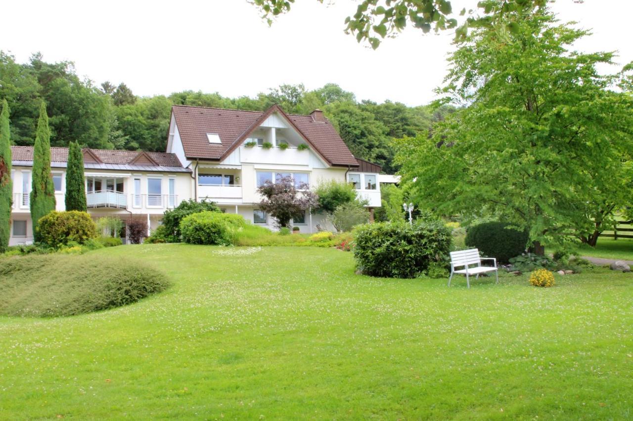 バート・ドリーブルクHaus Am Steinbergアパートメント エクステリア 写真